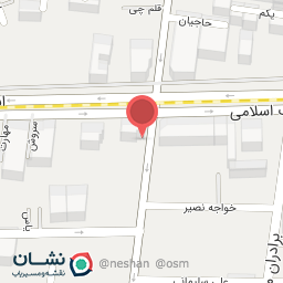 عکس پیتزا کاخ