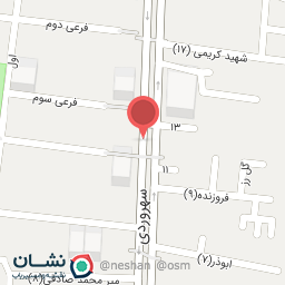 عکس جیگر و کبابی کورش