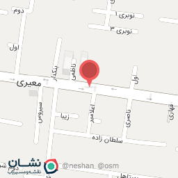 عکس فست‌فود آریا