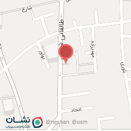 عکس عکاسی شاهین