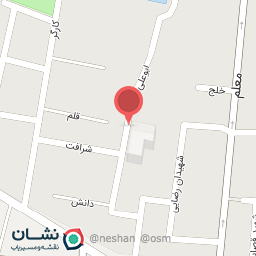 عکس گل فروشی گل یخ
