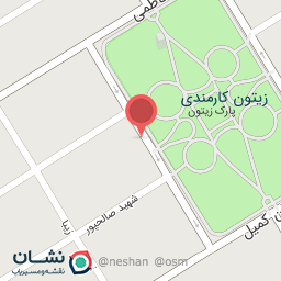 عکس کیف و کفش دوستی