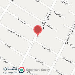 عکس سالن زیبایی پگاه رزینی