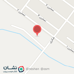 عکس کفش ملکه