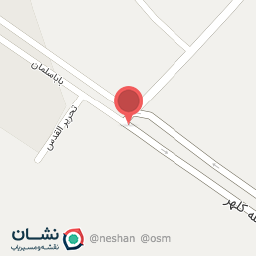 عکس فروشگاه لاریکس