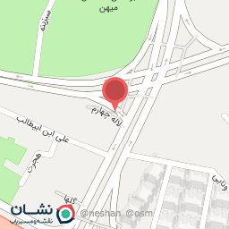 عکس پیتزا پارک اناری