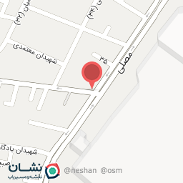 عکس کیف و کفش تن تاک