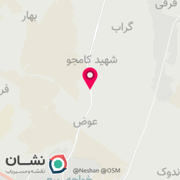 عکس تراشکاری سیامه