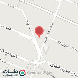 عکس کاج نقره‌ای مشهد