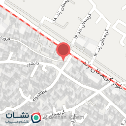 عکس صنایع دستی فاخر شیراز 