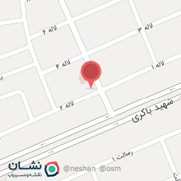 عکس فست فود آرتین