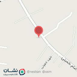 عکس مرغ بریان یامی