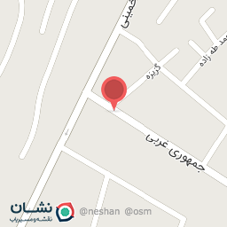 عکس کفش محمدی