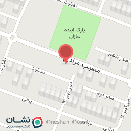 عکس اتوگالری سید محسن 