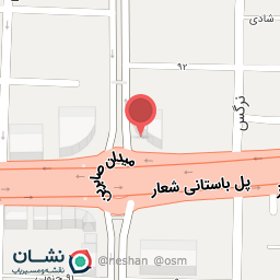 عکس کیف و کفش بردیا