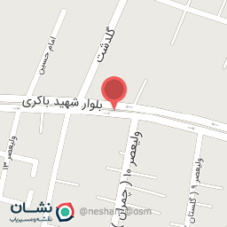 عکس پیتزا گل یخ