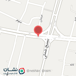 عکس چرم پانا