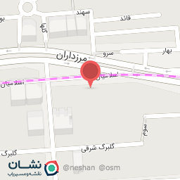 عکس اسکن مغز مرزداران 