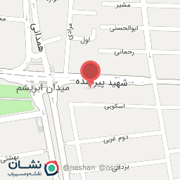 عکس پیتزا الکس