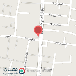 عکس جزیره گوشت صدف 