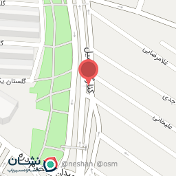 عکس پیتزا تپل