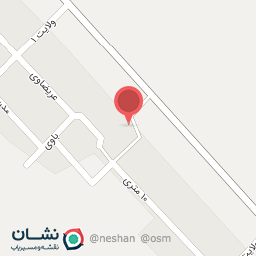 عکس مکانیکی استاد محمود ابوعادل