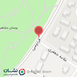 عکس میش برگر