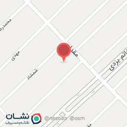 عکس مسجد الرضا 