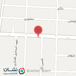 عکس الکتریکی صمدی