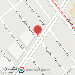 عکس فروشگاه رینگ و لاستیک