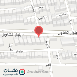 عکس رادیولوژی دکتر نیلوفر ایوبی