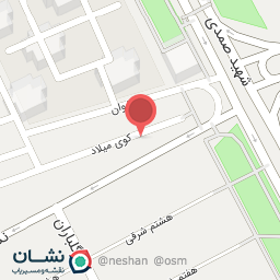 عکس آرایشی شمس