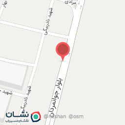 عکس آژانس سفرهای نوین آریایی (باماتور)