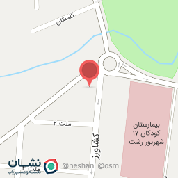 عکس پیتزا برج