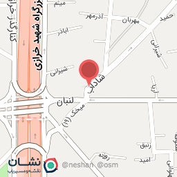 عکس تعمیر قفل اتومبیل کدخدایی