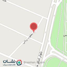 عکس پیتزا ساندویچ آمو بهمن