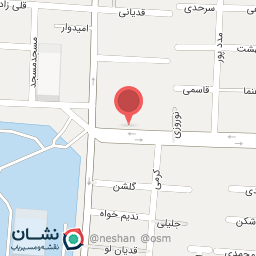 عکس کفش طبی دکتر پادوکاس