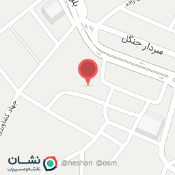 عکس لوبیا کباب ناصر صافدل