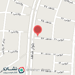 عکس فست فود دورهمی