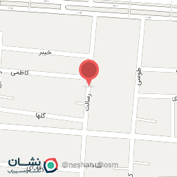 عکس تشخیص رنگ پورمحمدی