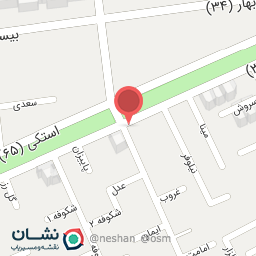 عکس مشاور املاک روشا