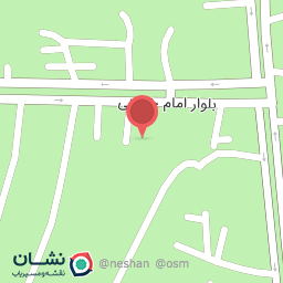 عکس پیتزا شالیز