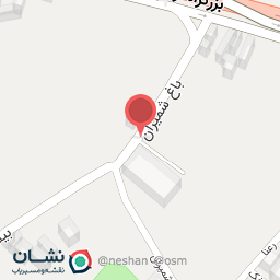 عکس کلید سازی سیار 