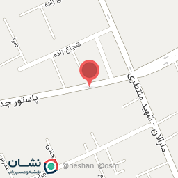 عکس شوینده بهداشتی دورنا