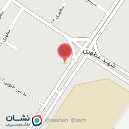 عکس پیتزا برگر حامد