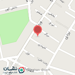 عکس فست‌فود نیوبرگر