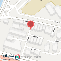 عکس آرایشگاه مردانه نخل