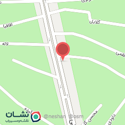 عکس سوپرگوشت شاهین