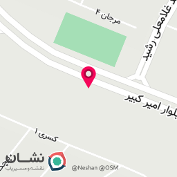 عکس مستر کباب