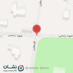 عکس میدان فلسطین